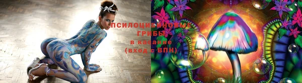 PSILOCYBIN Аркадак