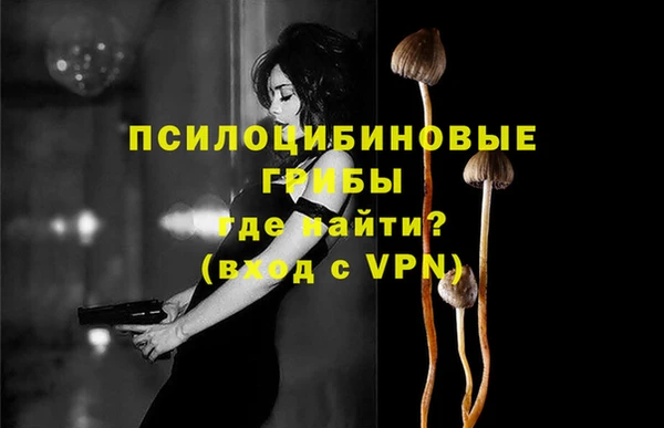 PSILOCYBIN Аркадак