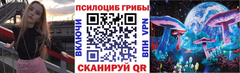 закладки Сясьстрой Псилоцибиновые грибы Psilocybine cubensis